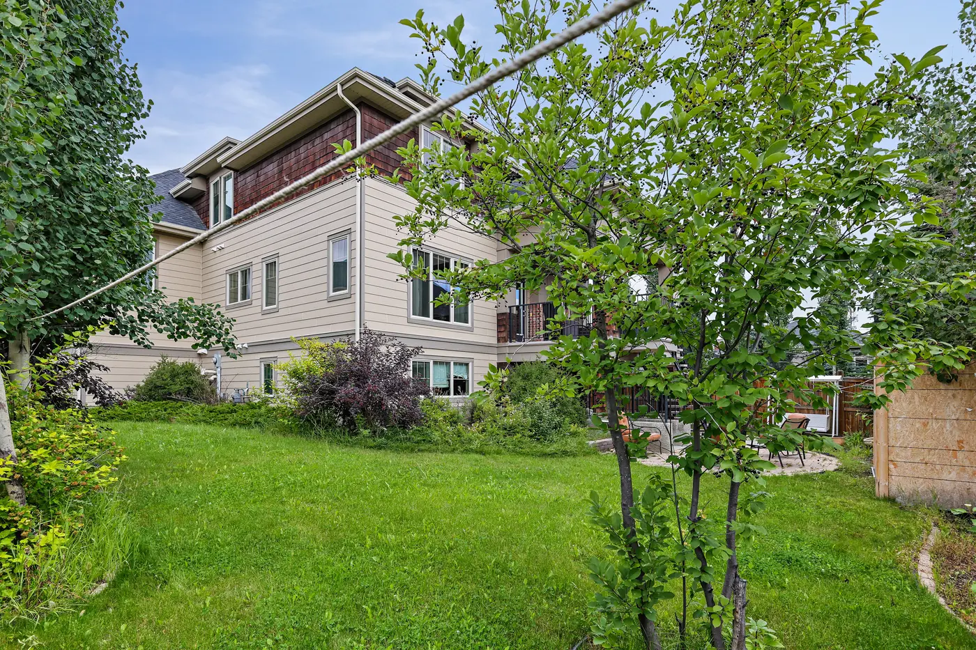 The side lawn through the leaves of a young fruit tree, the house stretching behind.