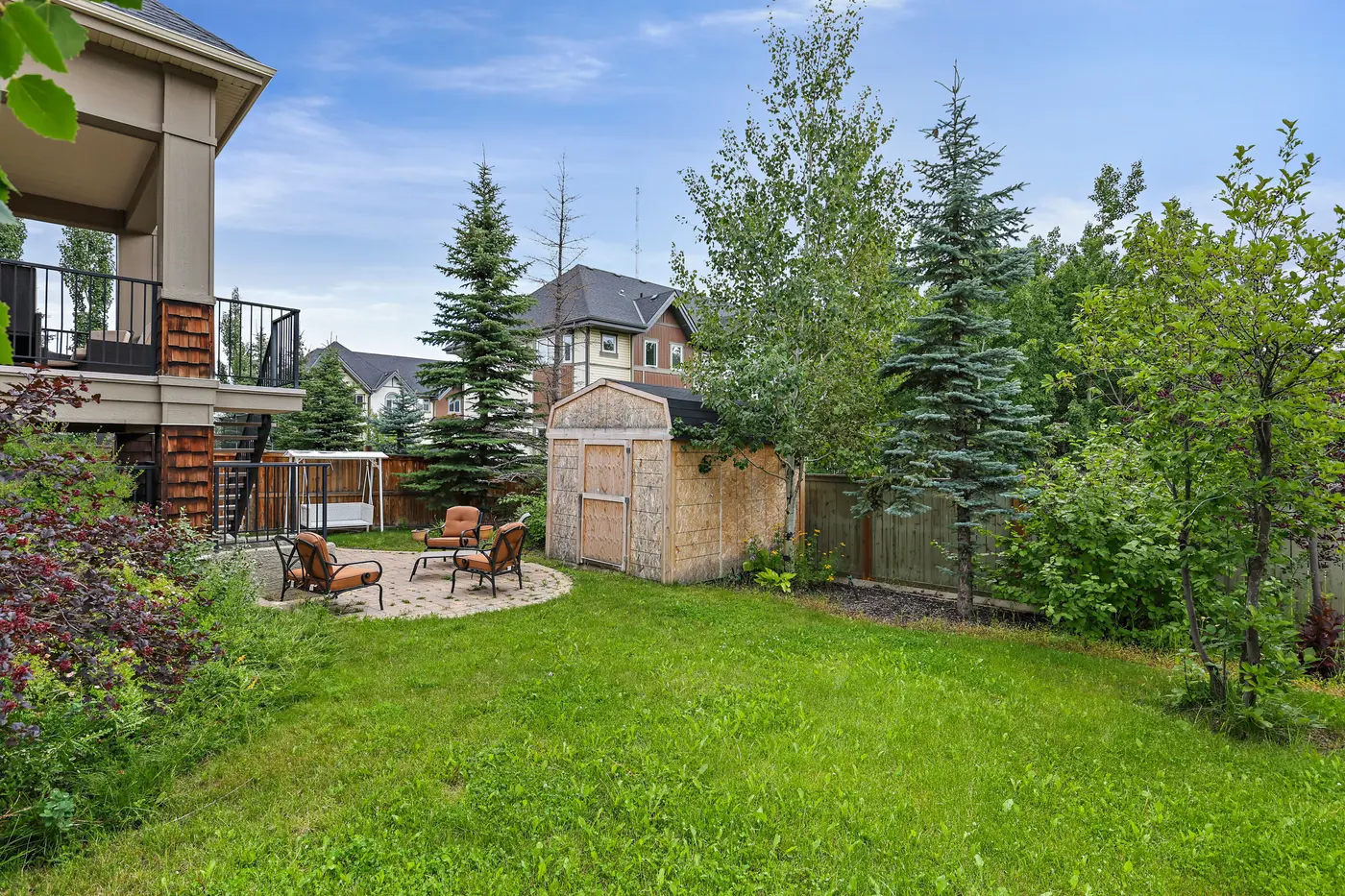 The wide pie-shaped yard behind the house, spruce and aspen giving the fence line real privacy.